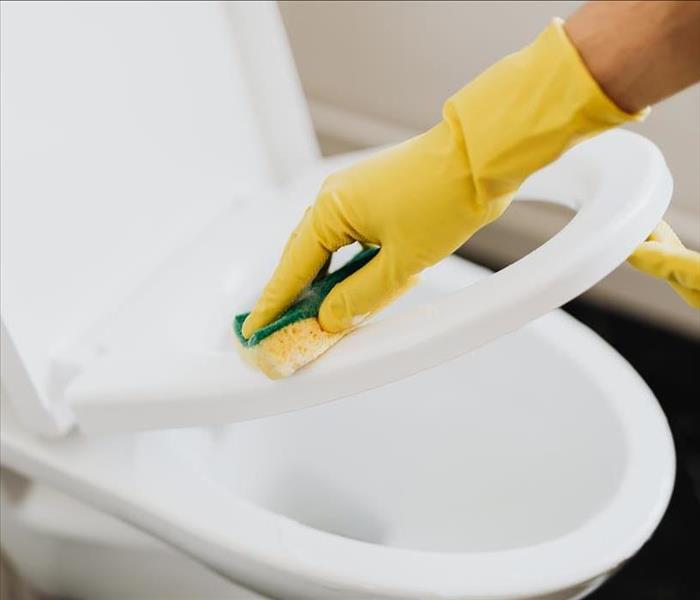 Cleaning the Toilet to ensure it is sanitary and free of pathogens.